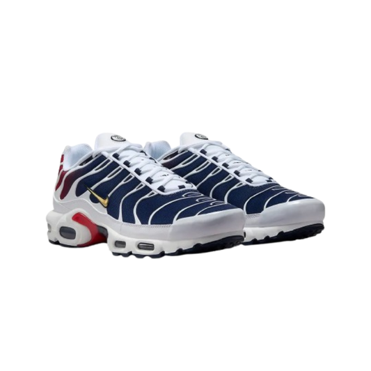 Air Max TN Plus PSG