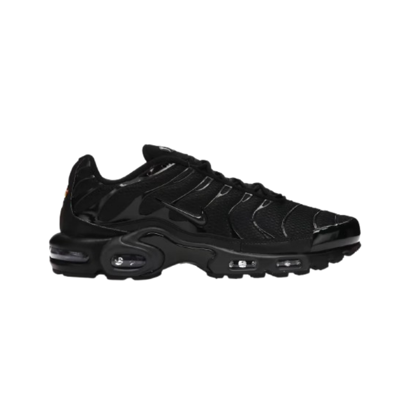 Air Max Plus Triple Black