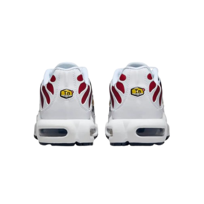 Air Max TN Plus PSG