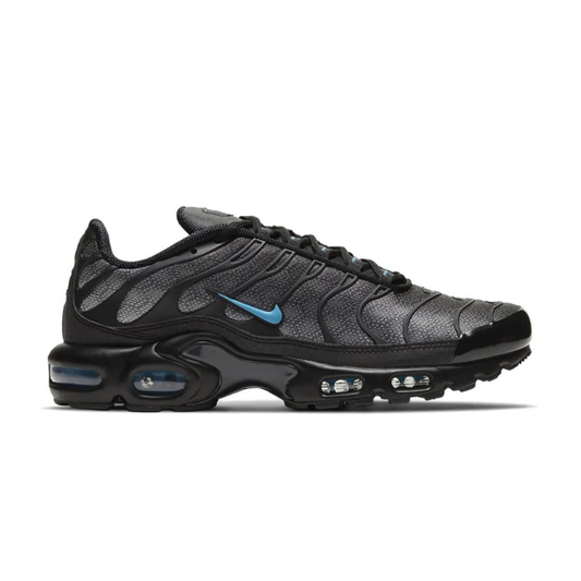 Air Max Plus Black Holo