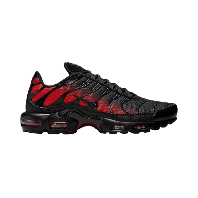 Air Max Plus Gradient Bred