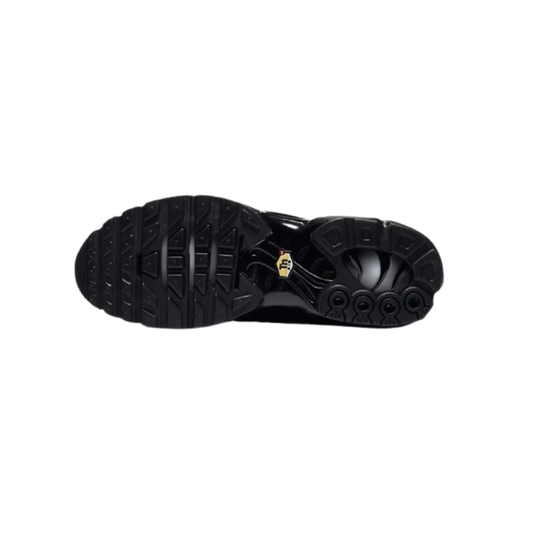 Air Max Plus Triple Black