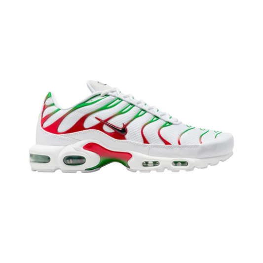 Air Max Plus - Italy