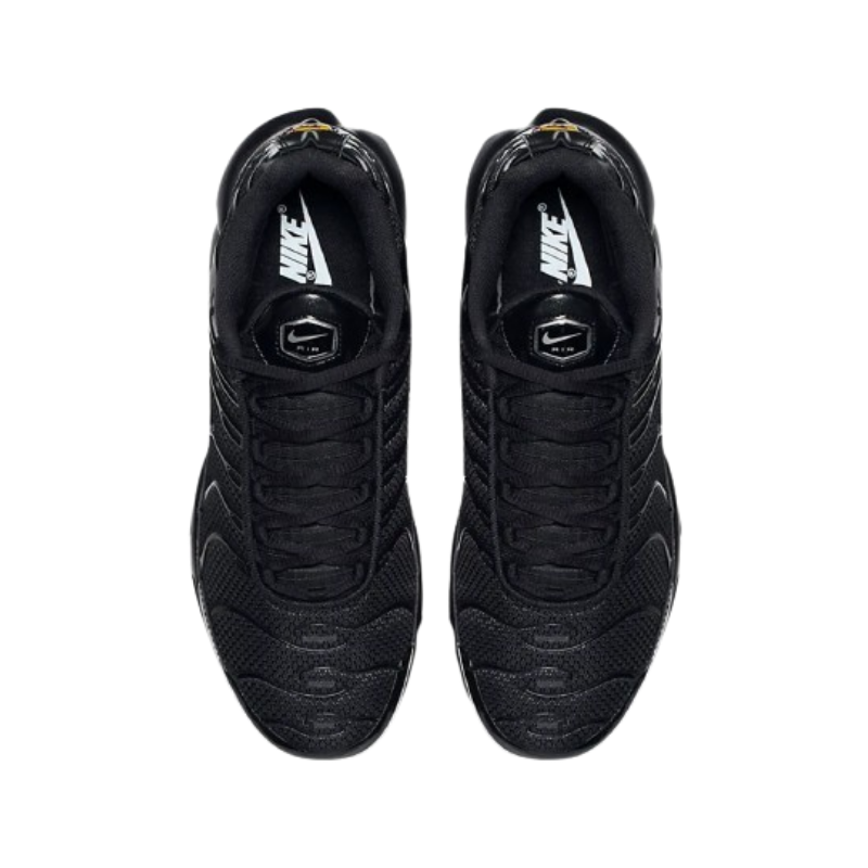 Air Max Plus Triple Black