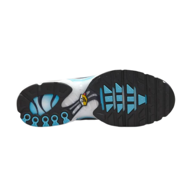 Air Max Plus Obsidian Blue