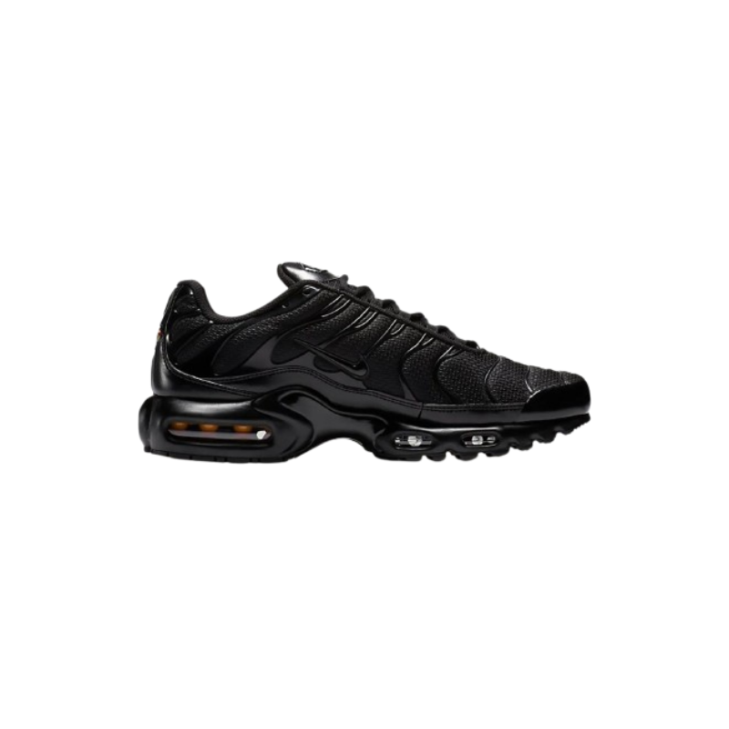 Air Max Plus Triple Black