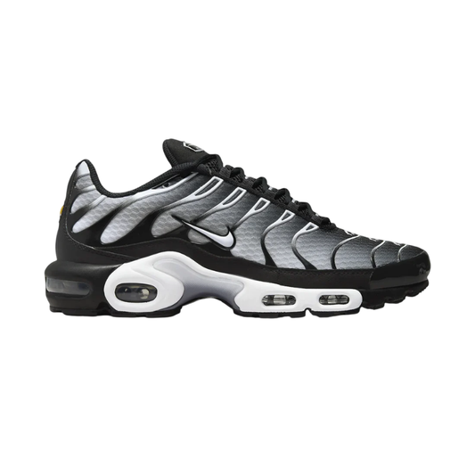 Air Max Plus Black Metal Silver