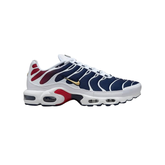 Air Max TN Plus PSG